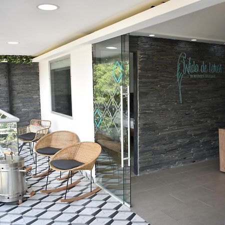 Hostel Boutique Nido De Loros Medellín Kültér fotó
