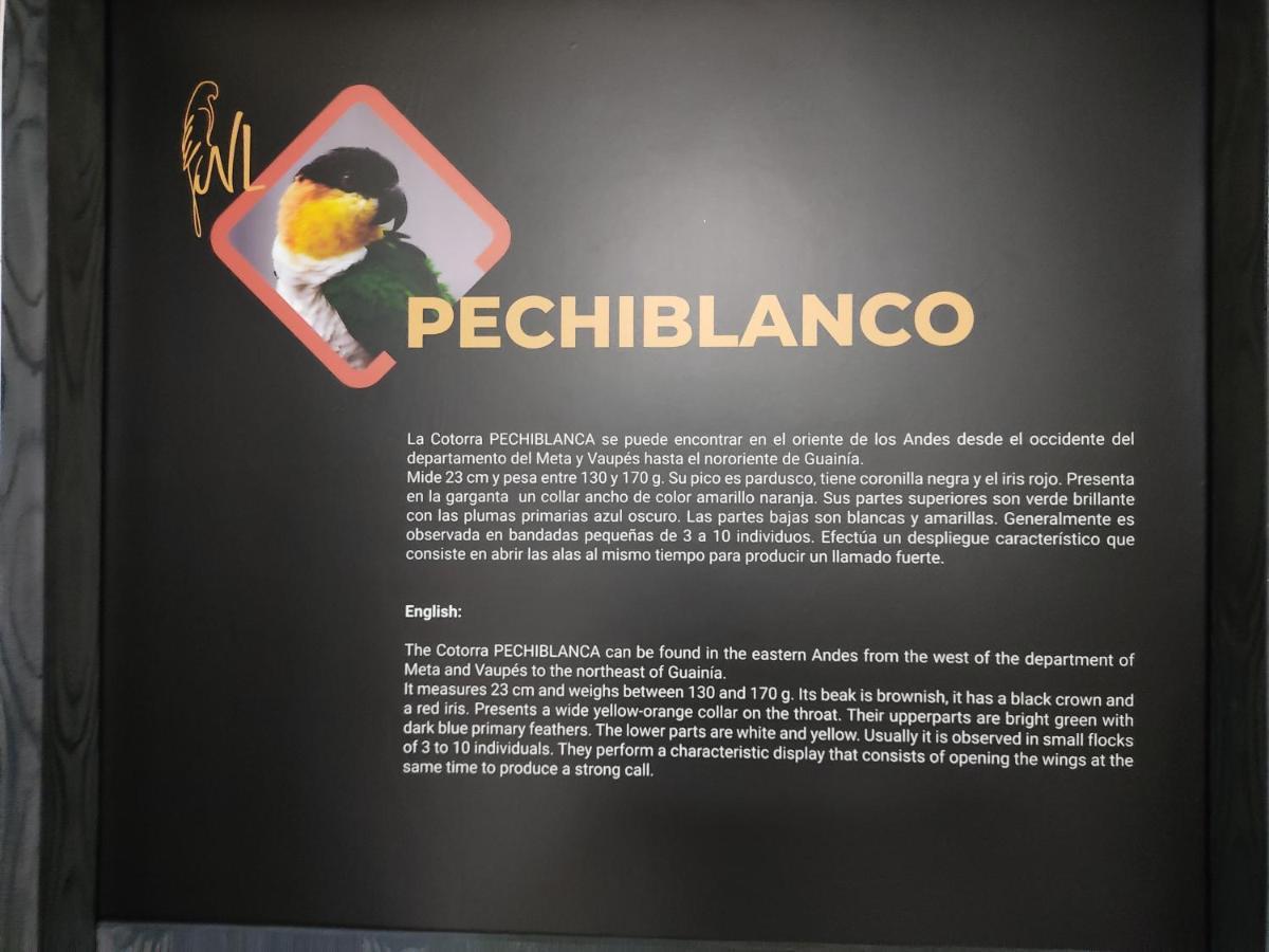 Hostel Boutique Nido De Loros Medellín Kültér fotó