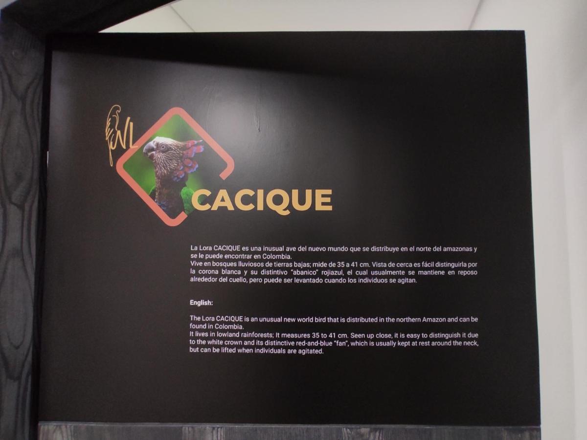 Hostel Boutique Nido De Loros Medellín Kültér fotó