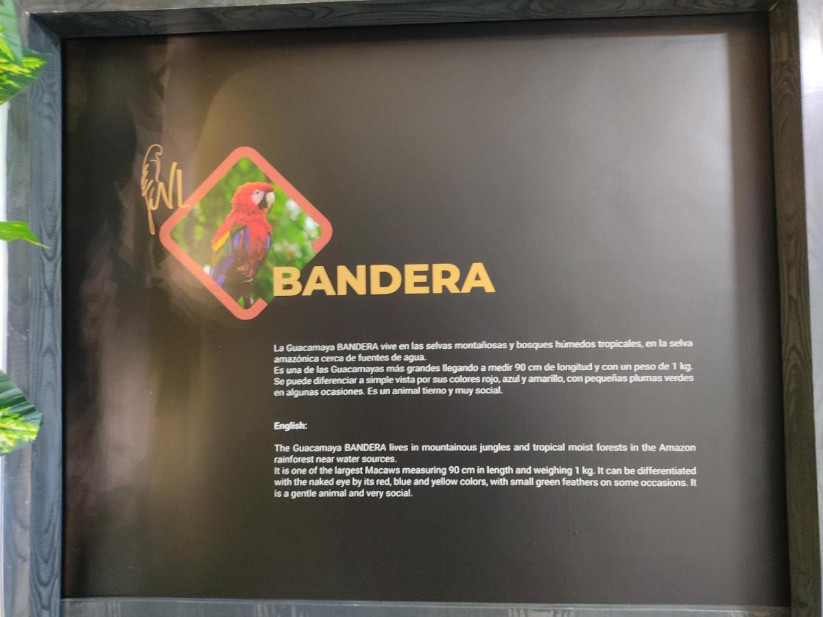 Hostel Boutique Nido De Loros Medellín Kültér fotó