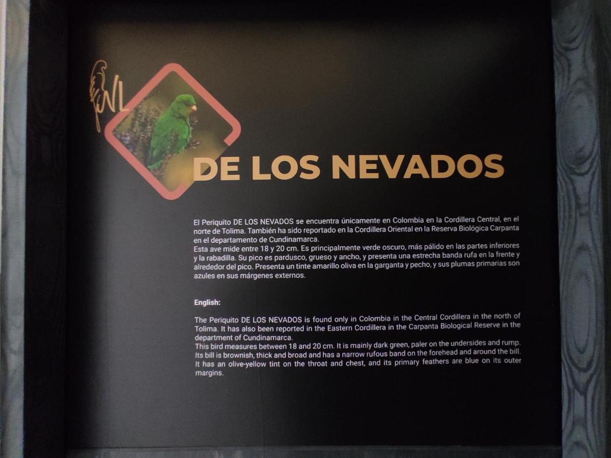 Hostel Boutique Nido De Loros Medellín Kültér fotó